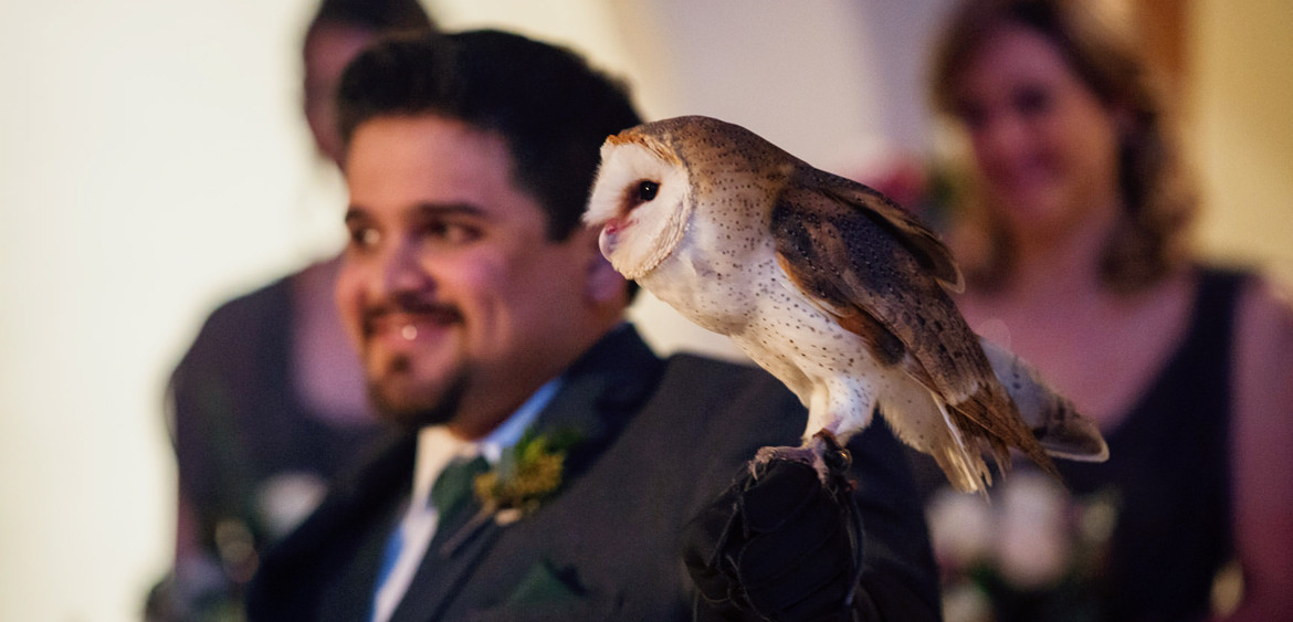 houston wedding steve lee photography at bell tower on 34th harry potter owl