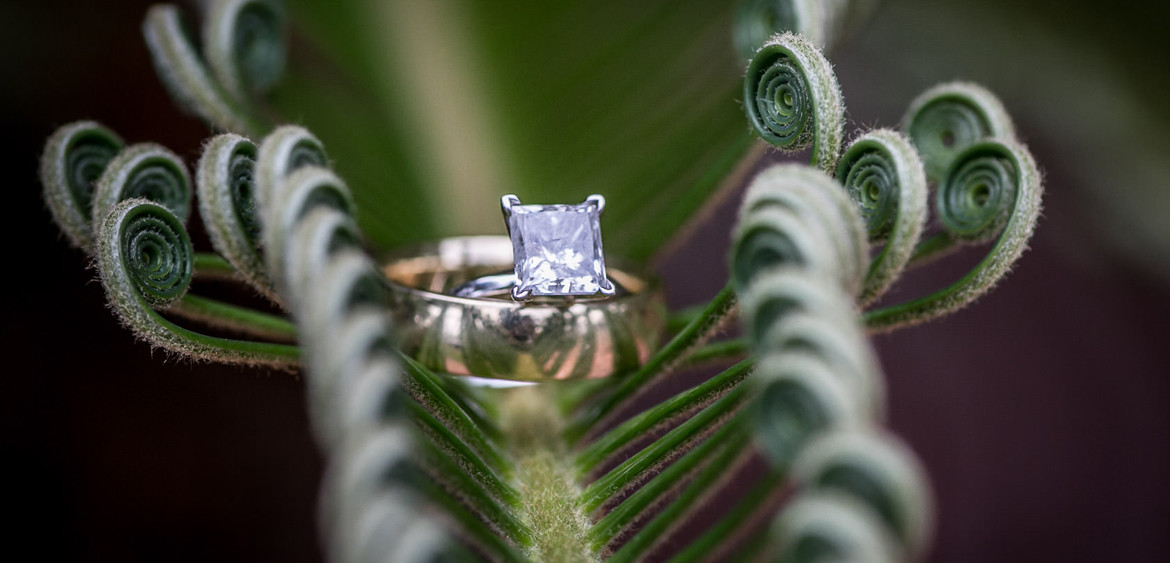 houston wedding ring la colombe d'or by steve lee photography